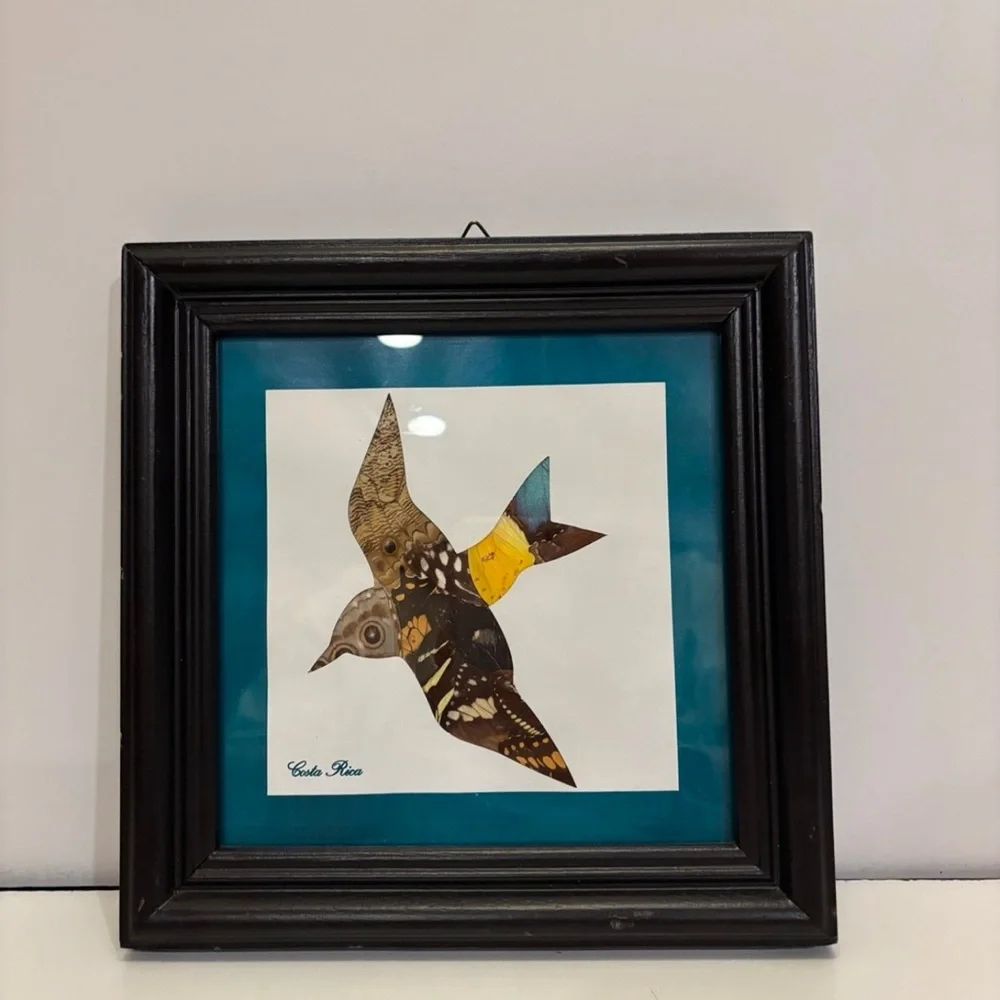 Framed Bird Art with Black Frame